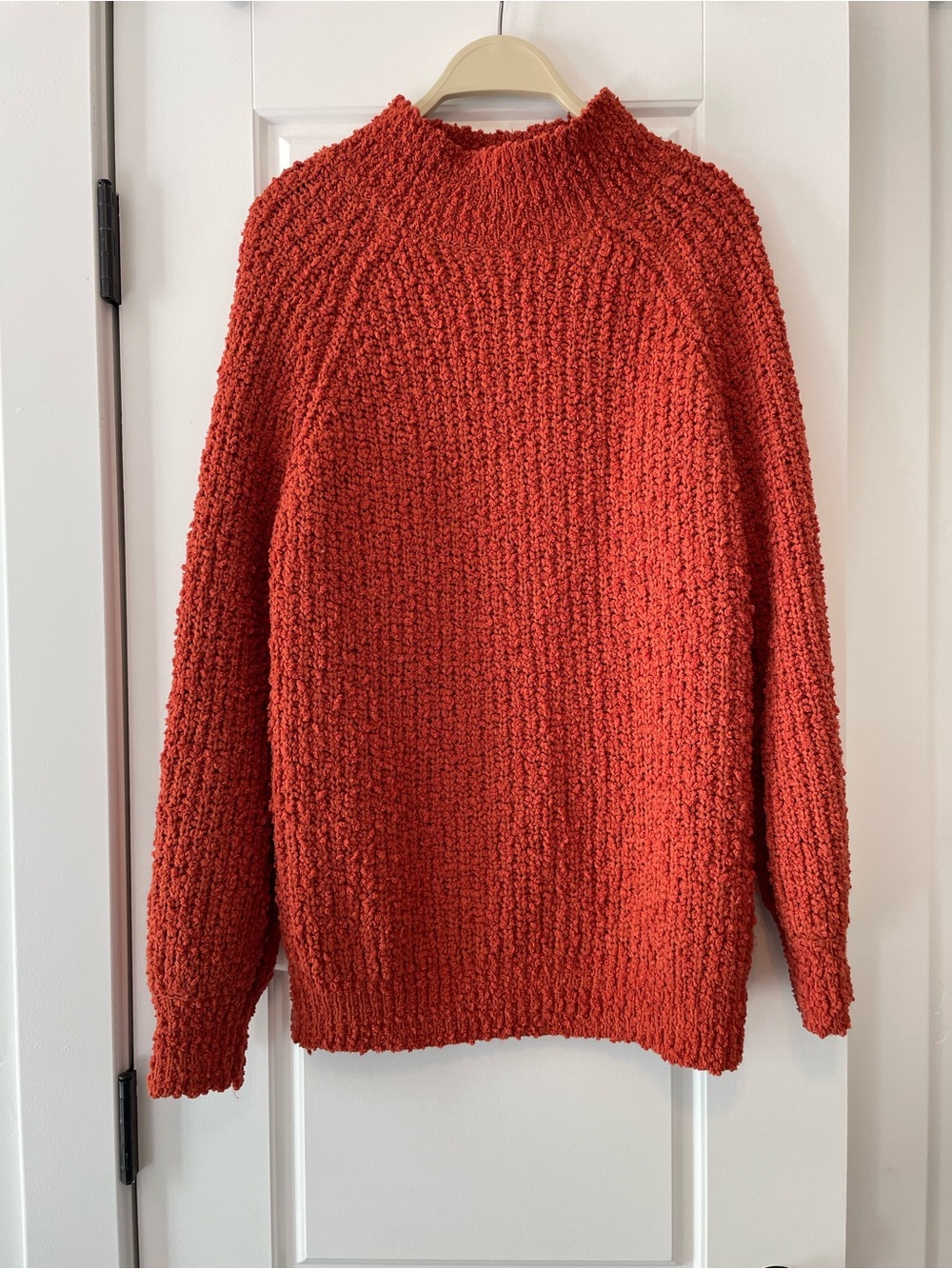 Polagram Chunky Turtleneck Sweater in Rust